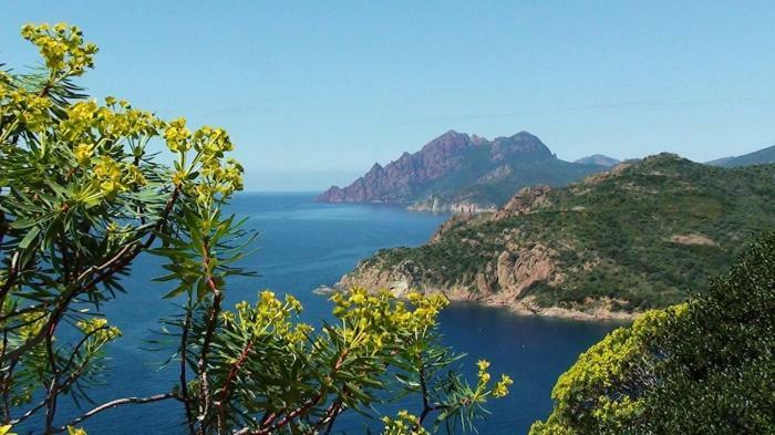 Résidence Colombara Cargèse Exterior foto